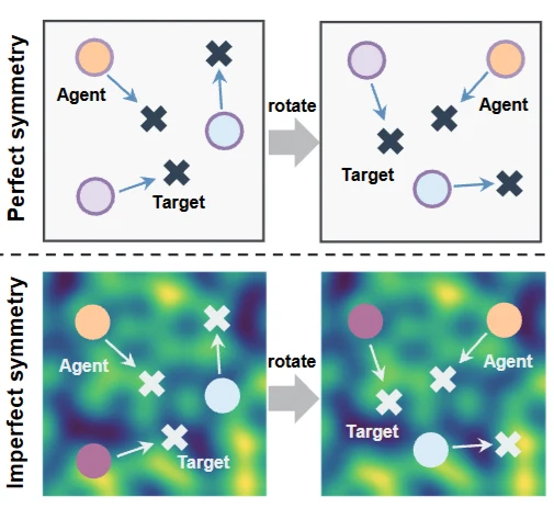 Leveraging Partial Symmetry for Multi-Agent Reinforcement Learning research preview